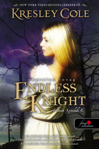 Endless Knight - Végtelen lovag