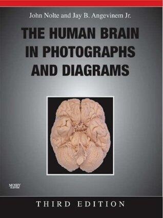 The Human Brain in Photographs and Diagrams [with CD-ROM]