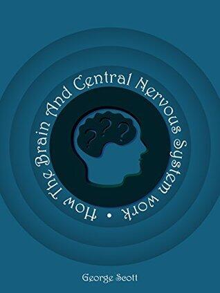 The Brain And Central Nervous System: How to get a sharp mind and a stable body