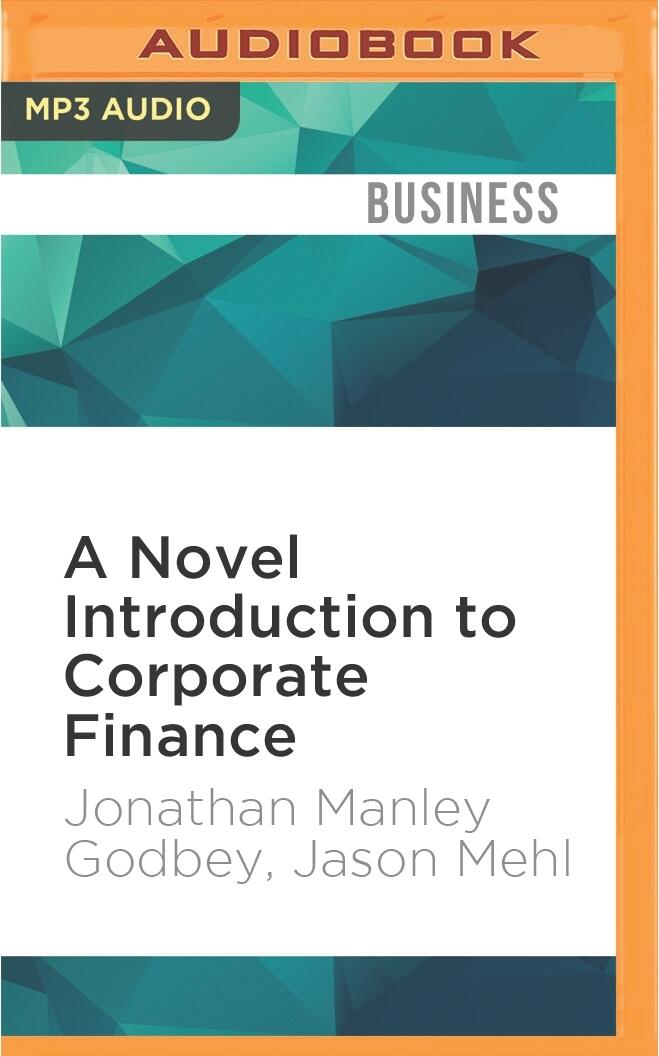 Novel Introduction to Corporate Finance, A
