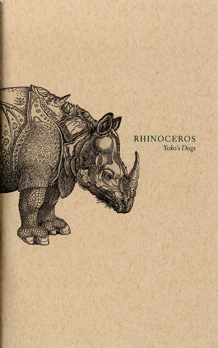Rhinoceros