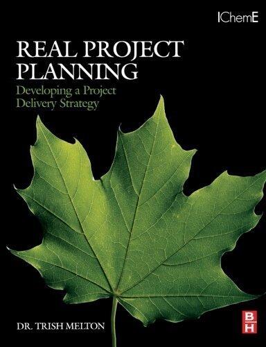 Real Project Planning: Developing a Project Delivery Strategy (Project Management Toolkit)