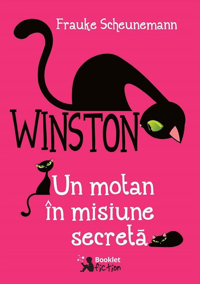 Un motan în misiune secretă