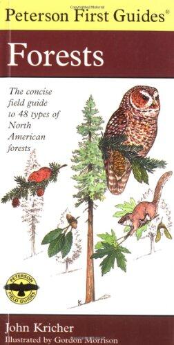 First Guide to Forests