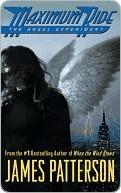 The Angel Experiment