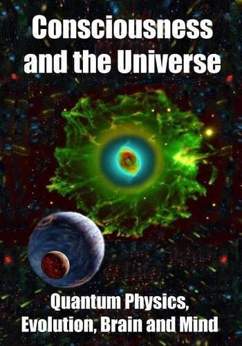 Consciousness and the universe