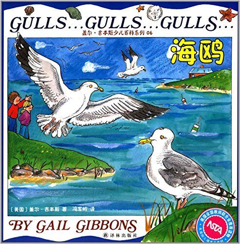 Gulls... Gulls... Gulls...