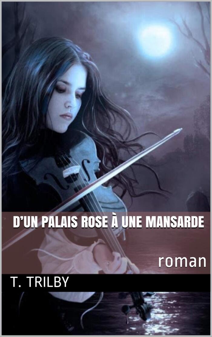 D'un palais rose à une mansarde: roman