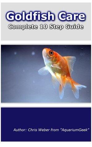 Goldfish Care in 10 Easy Steps