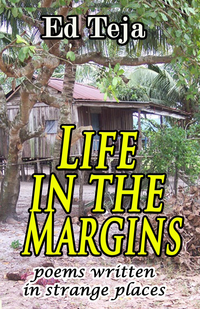 Life in the Margins: Poems written in strange places
