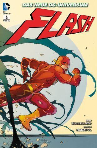 Flash, Bd. 6: Geisterjagd in Central City