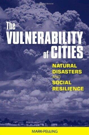 The Vulnerability of Cities
