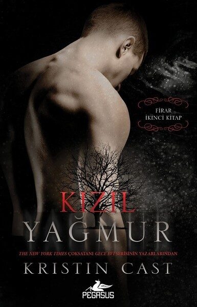 Kızıl Yağmur