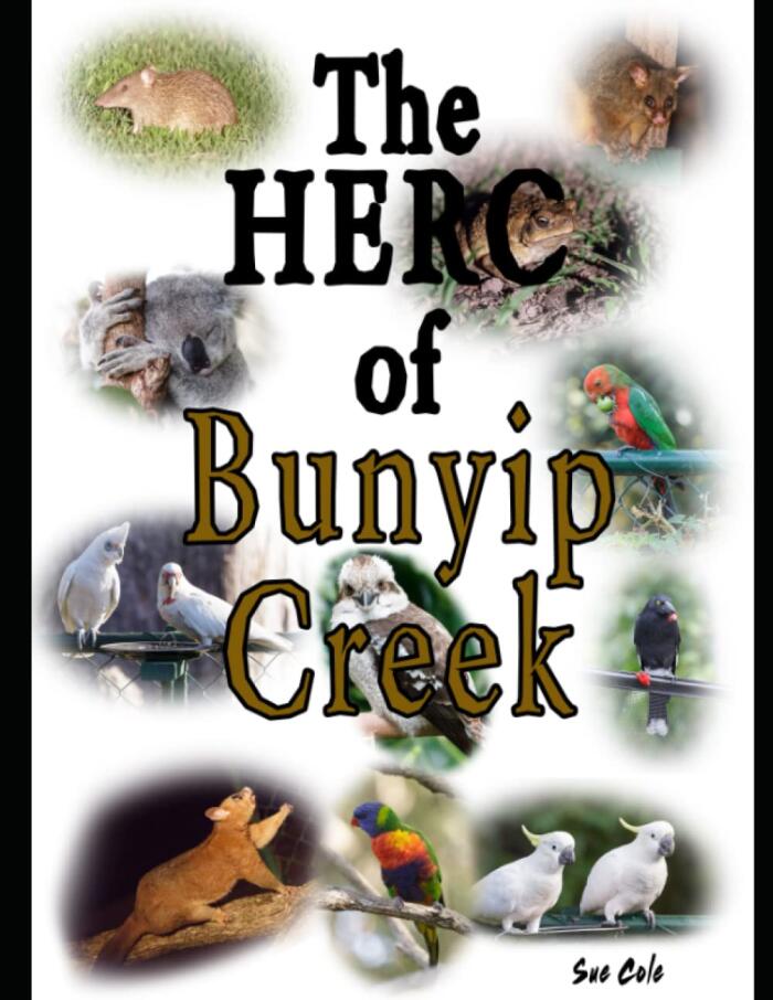 Bunyip Creek