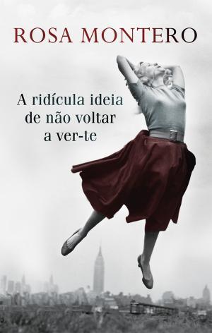 A Ridícula Ideia de Não Voltar a Ver-te