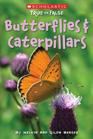 Butterflies And Caterpillars