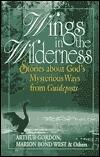Wings In The Wilderness
