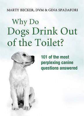 Why Do Dogs Drink Out Of The Toilet?