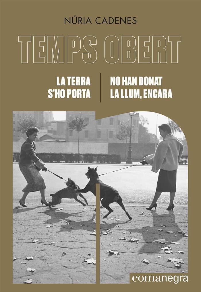 Temps Obert