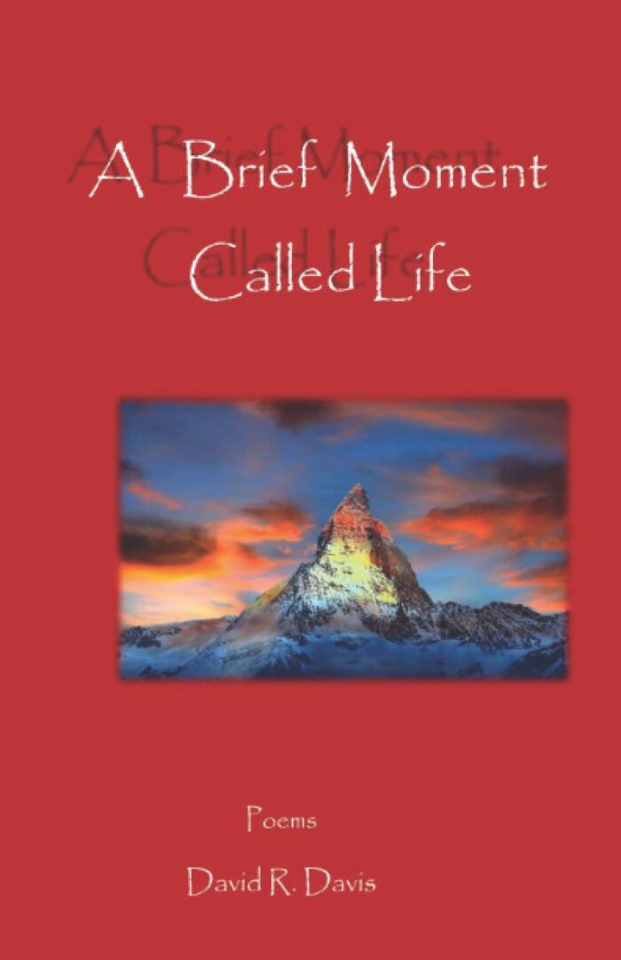 A Brief Moment Called Life