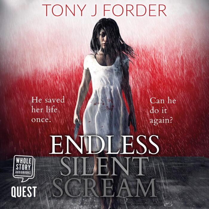 Endless Silent Scream: DI Bliss, Book 6