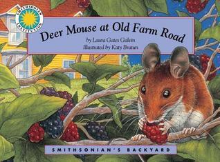 Deer Mouse at Old Farm Road - a Smithsonian's Backyard Book