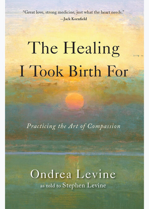 The Healing I Took Birth For: Practicing the Art of Compassion
