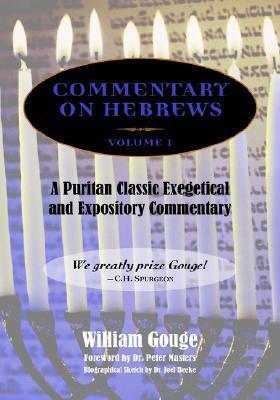 Commentary on Hebrews: Exegetical and Expository - Vol. 1
