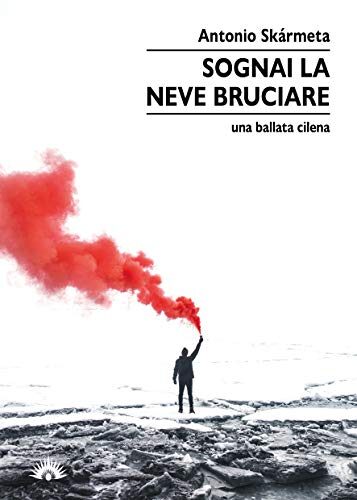 Sognai la neve bruciare. Una ballata cilena