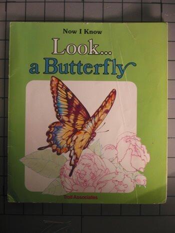 Look...a Butterfly