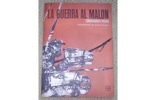 La guerra al malón