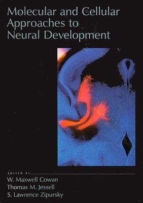 Molecular and Cellular Approaches to Neural Development