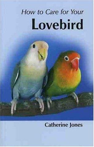 How to Care for Your Lovebird