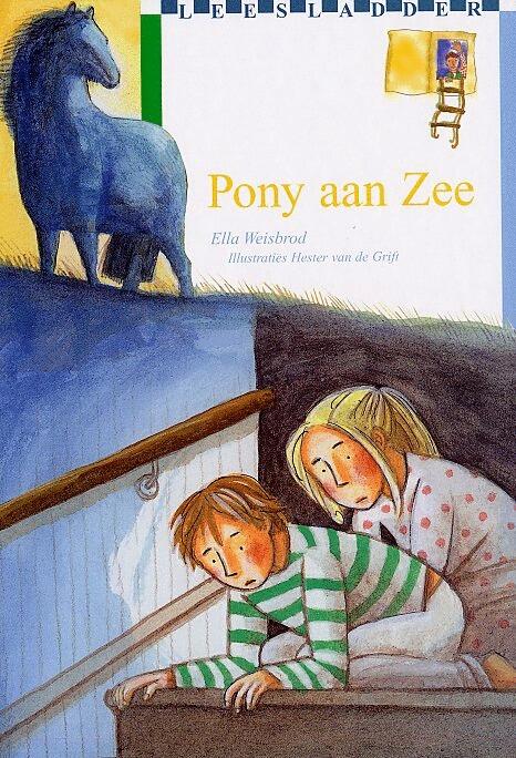 Pony aan zee