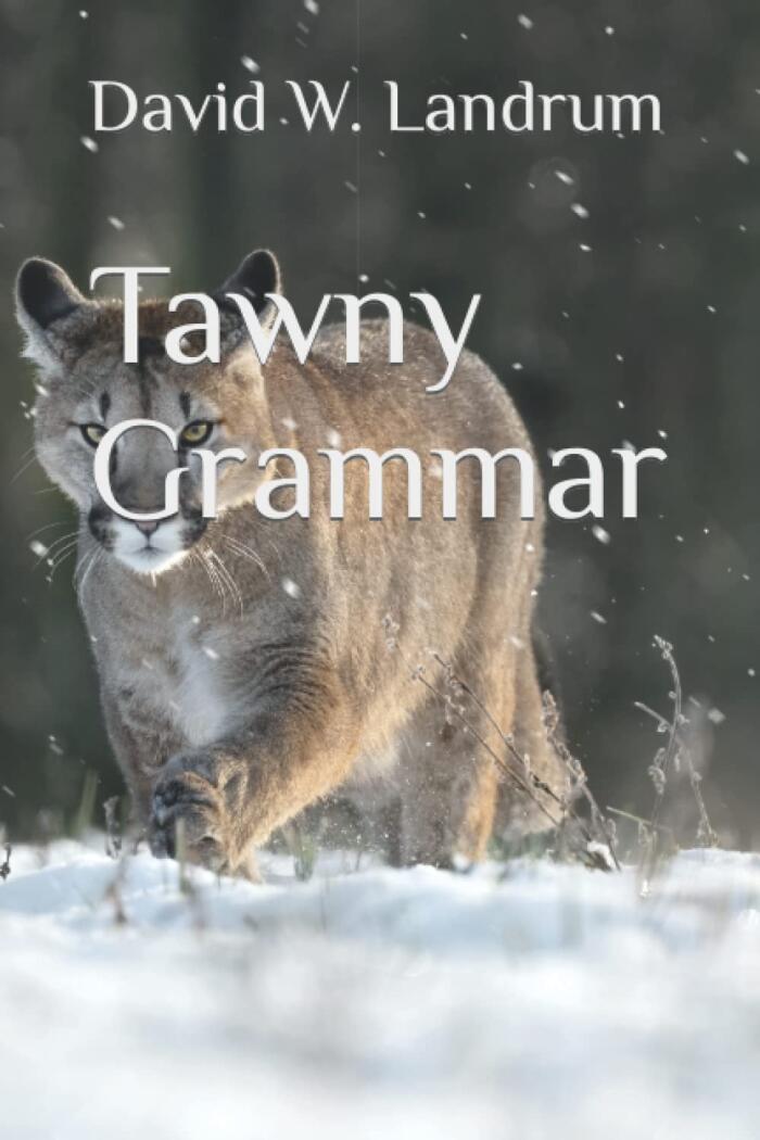 Tawny Grammar