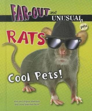 Rats: Cool Pets!