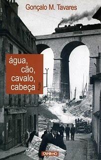 Água, Cão, Cavalo, Cabeça