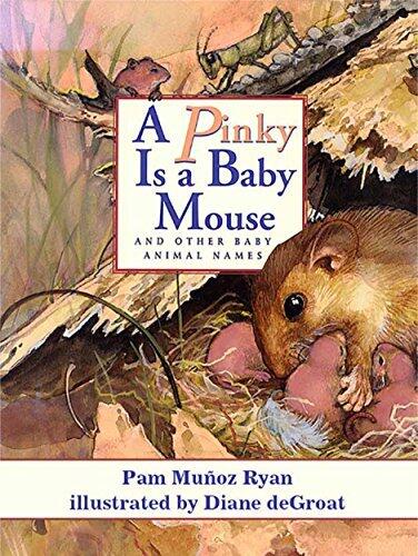 A Pinky Is a Baby Mouse