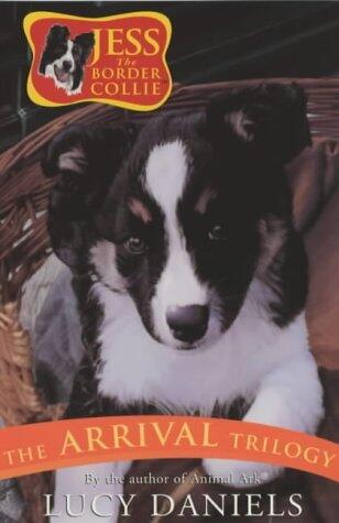 Jess the Border Collie