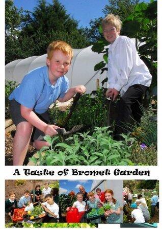 Recipe for a School Garden