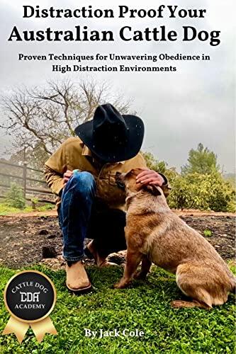 Distraction Proof Your Australian Cattle Dog: Proven Techniques for Unwavering Obedience in High Distraction Environments
