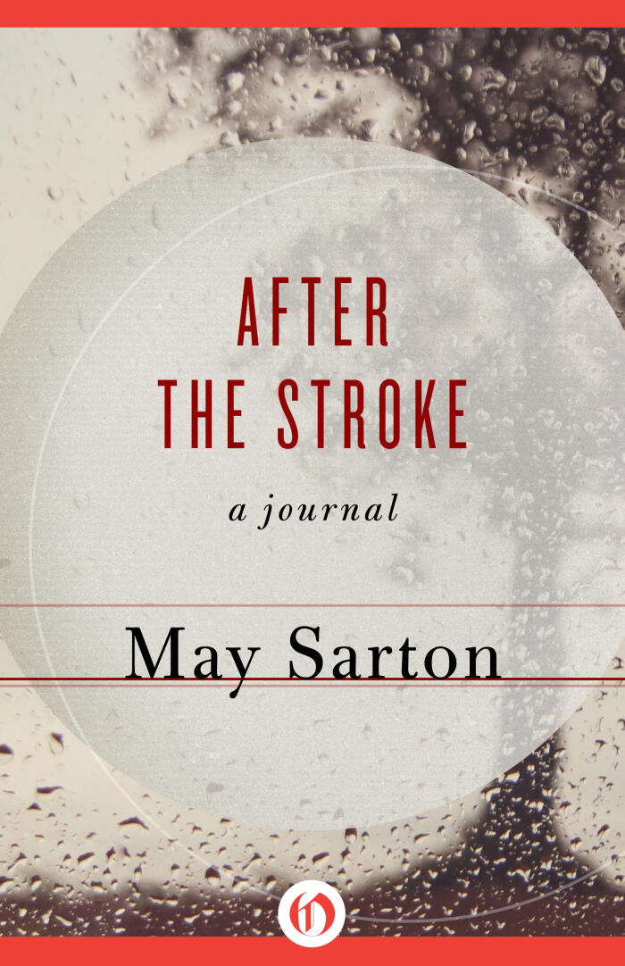 After the Stroke: A Journal