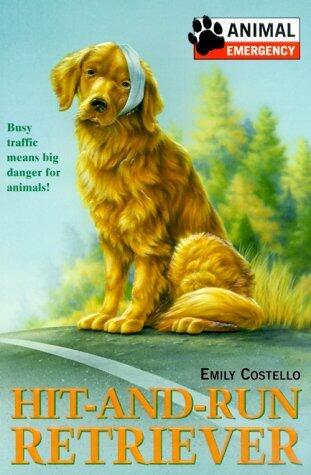 Hit-and-Run Retriever