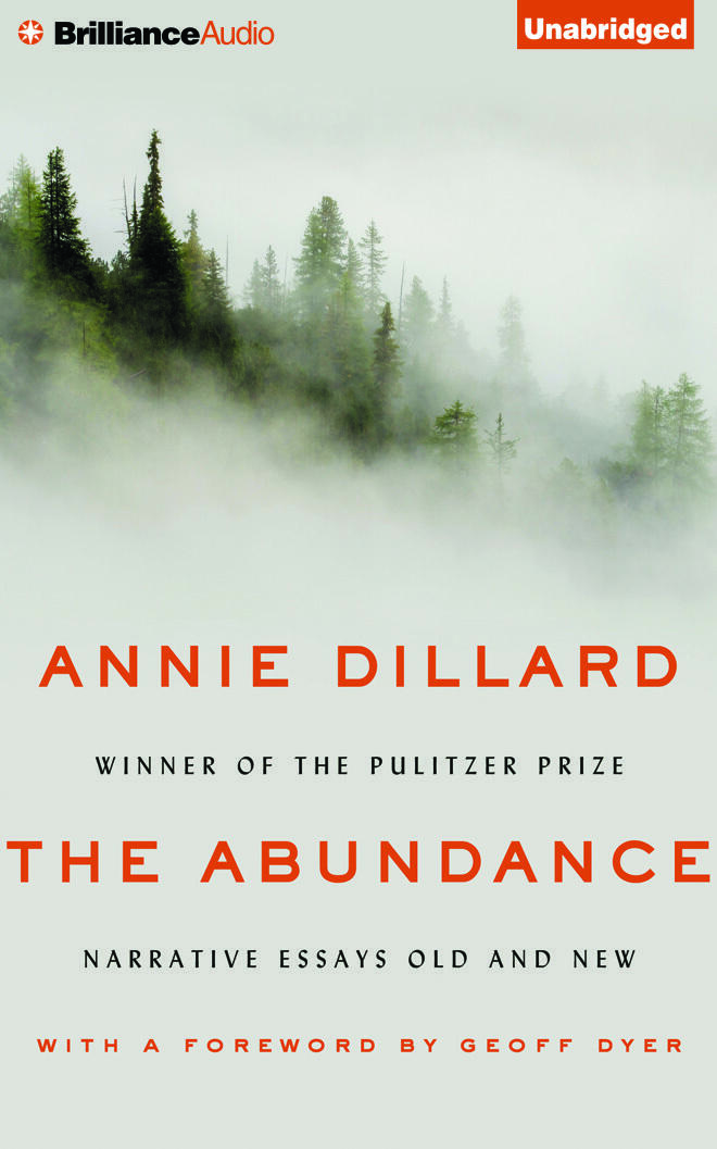 The Abundance: Narrative Essays Old and New