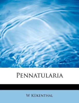 Pennatularia