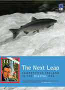 The Next Leap: A Competitive Ireland in the Digital Era