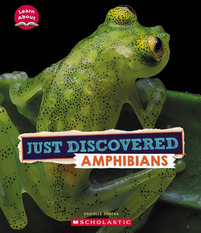 Just Discovered Amphibians
