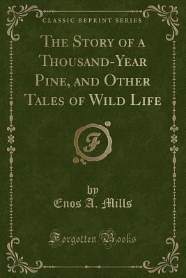 The Story of a Thousand-Year Pine, and Other Tales of Wild Life