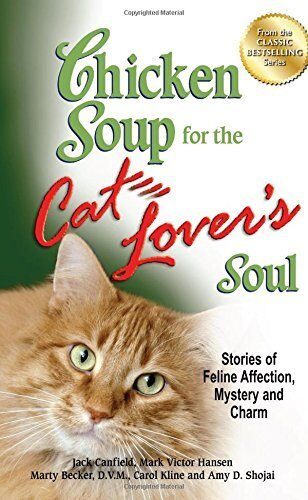 Chicken Soup for the Cat Lover's Soul: Stories of Feline Affection, Mystery And Charm
