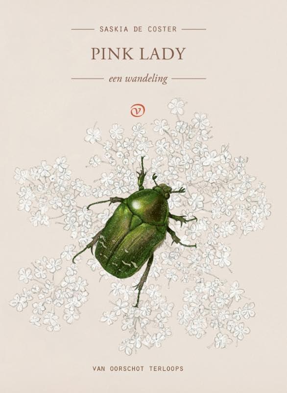 Pink Lady